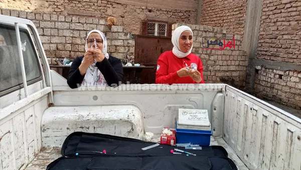 حملة تحصين الكلاب الحرة 