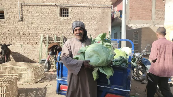 سوق المراشدة 