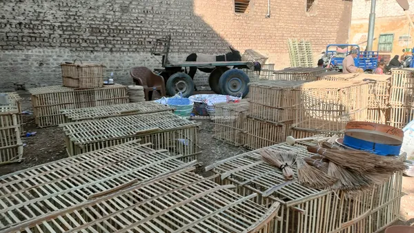 سوق المراشدة 