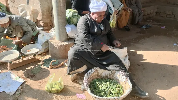 سوق المراشدة 