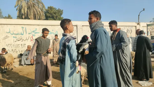 سوق المواشي