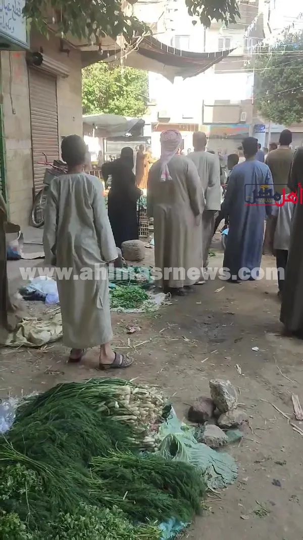 صور المشاجرة 