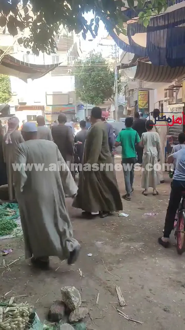 صور المشاجرة 