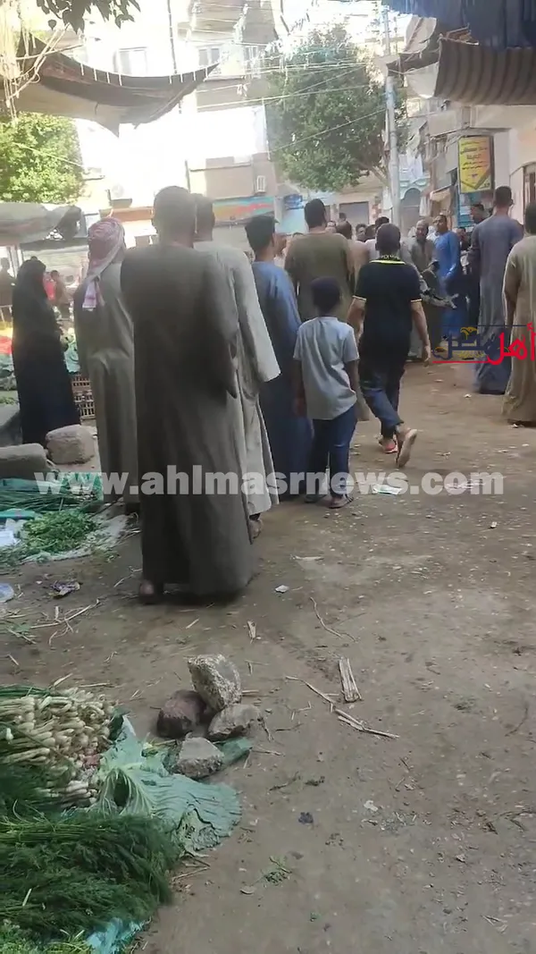 صور المشاجرة 