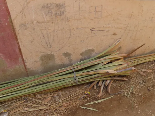 صور صناعة الجريد