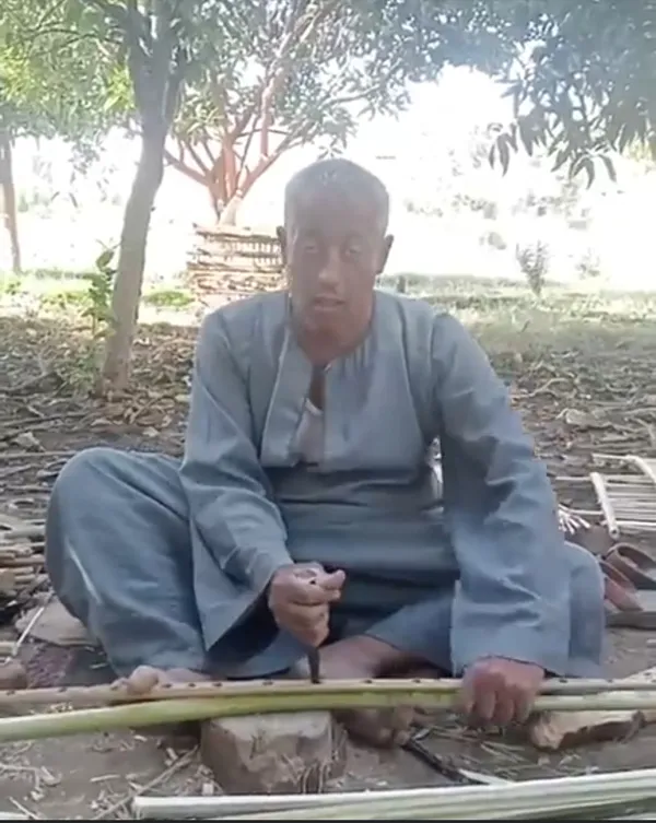 صور مهنه الجريد