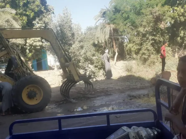 قطع الاشجار بحجازة