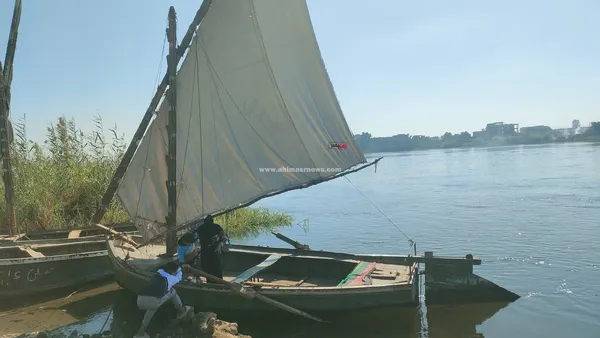 مركب شراعية 