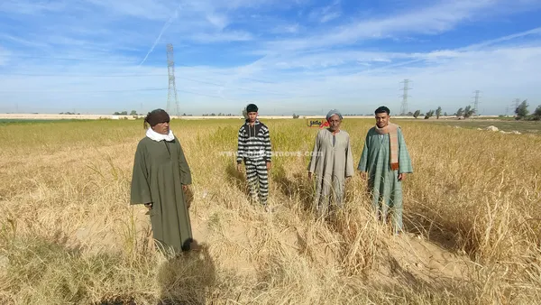 الاراضي الزراعيه 