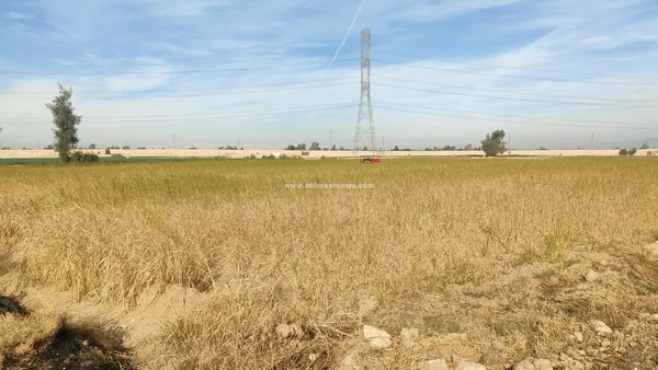 الاراضي الزراعيه 