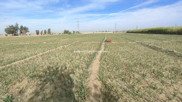 الاراضي الزراعيه 