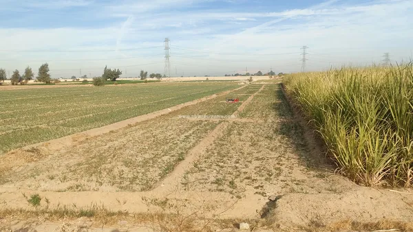 الاراضي الزراعيه 