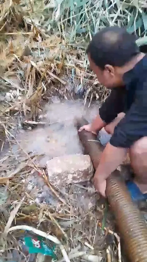 المياه الجوفية 