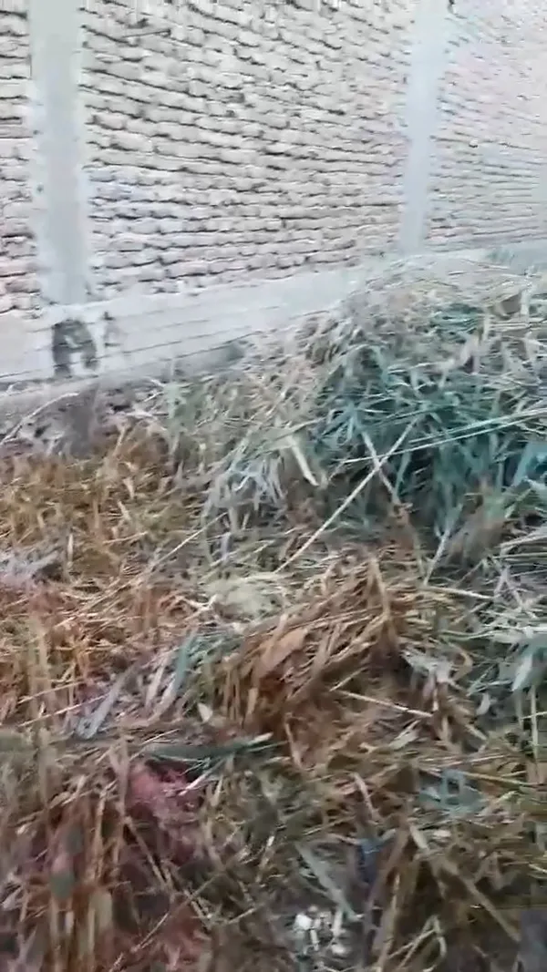 المياه الجوفية 