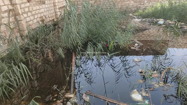 المياه الجوفية 