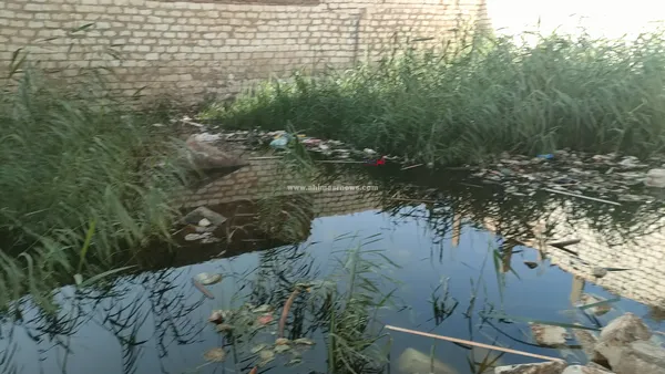 المياه الجوفية 