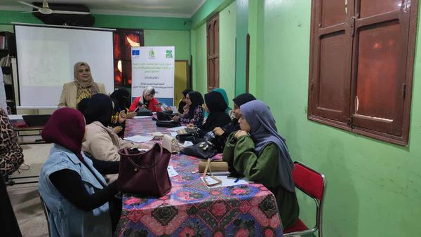 انتظام التصويت في ثاني أيام انتخابات مجلس النواب بالأقصر