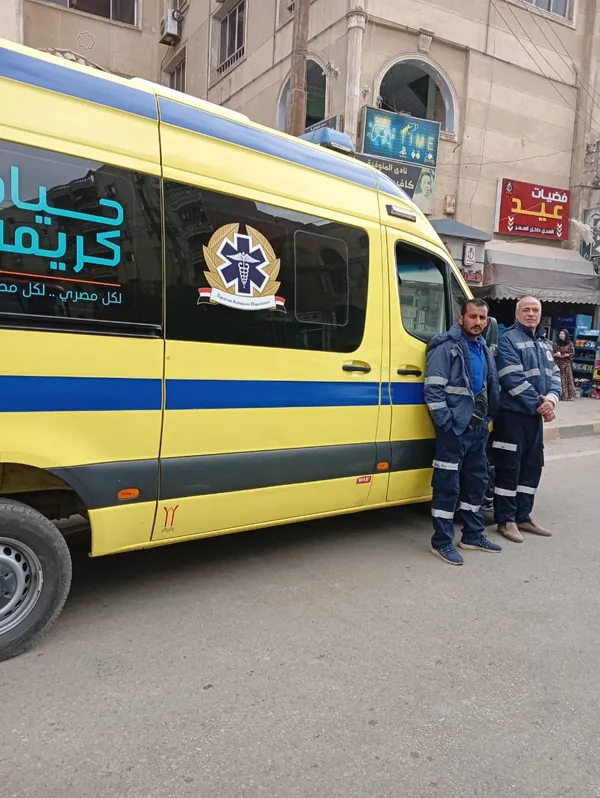 تأمين الانتخابات 