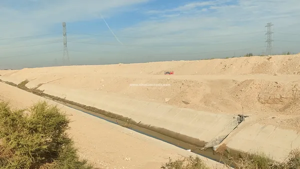 تلف المحاصيل الزراعية 