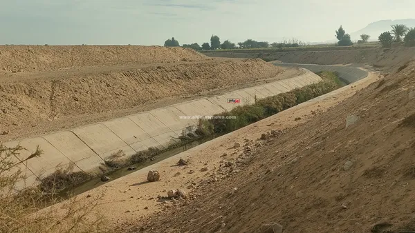 تلف المحاصيل الزراعية 