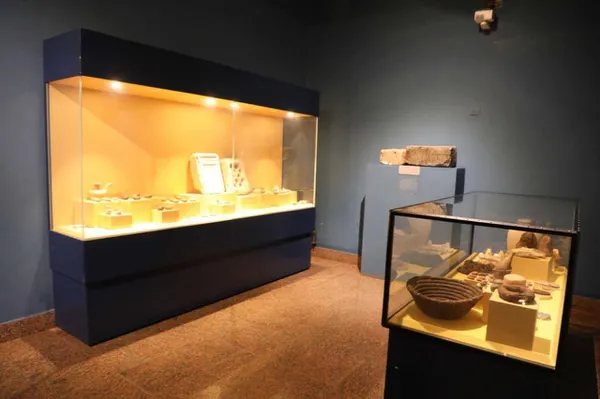 جانب من الجولة