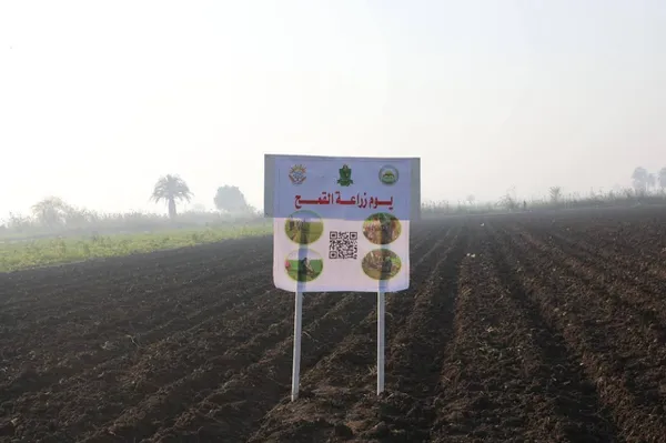 جانب من الجولة