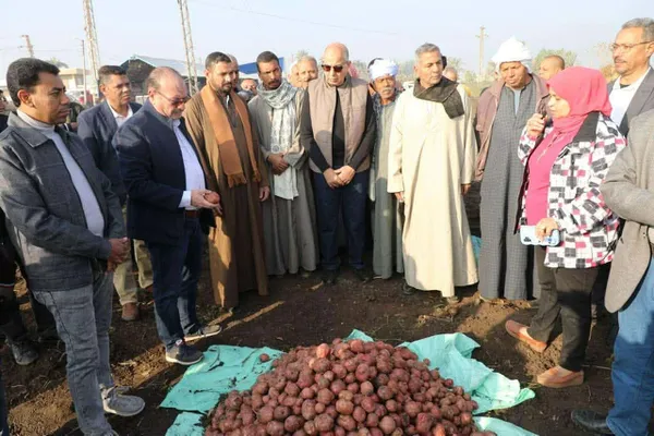 جانب من الحادث 