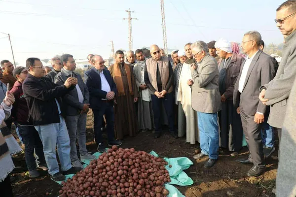 جانب من الحادث 