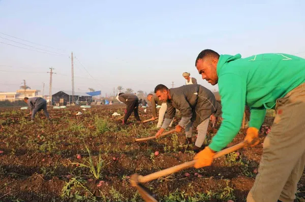 جانب من الحادث 