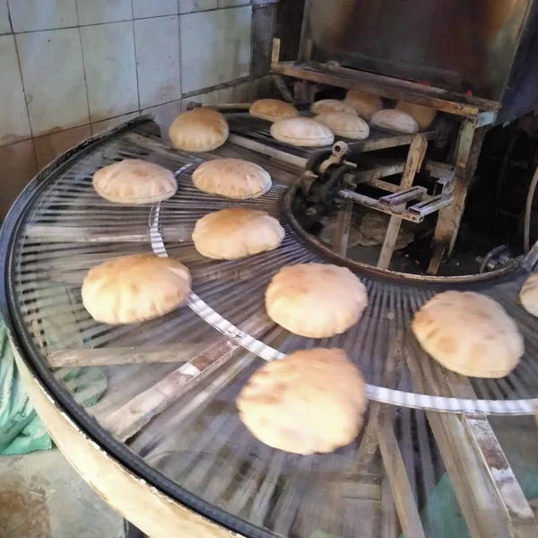 جانب من الحملة 