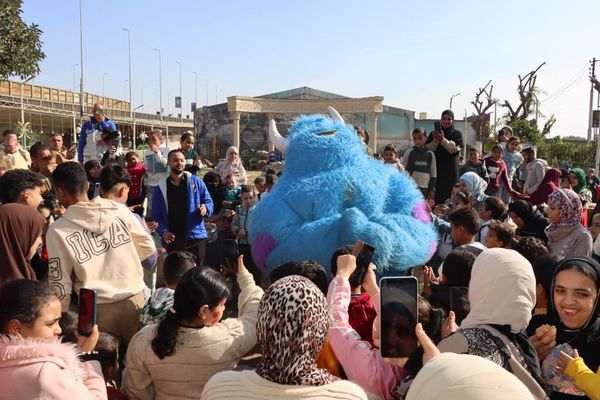 جانب من الفاعلية 