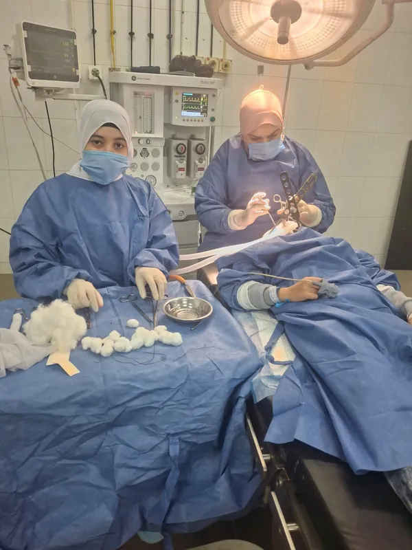 صحة المنوفية 