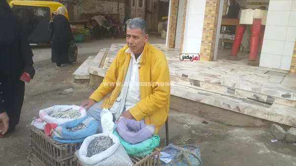 عم أشرف، بائع أم الخلول 