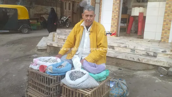 عم أشرف، بائع أم الخلول 