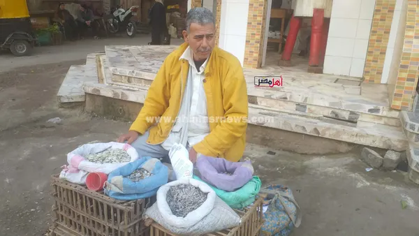 عم أشرف، بائع أم الخلول 