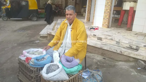 عم أشرف، بائع أم الخلول 