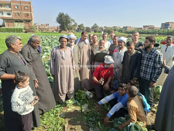 فلاحين أزمة أراضي الوقف