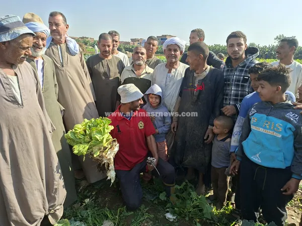 فلاحين أزمة أراضي الوقف