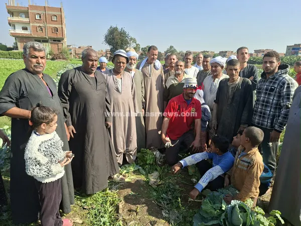 فلاحين أزمة أراضي الوقف