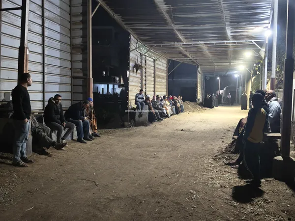 استعداد اهالي المنوفية 