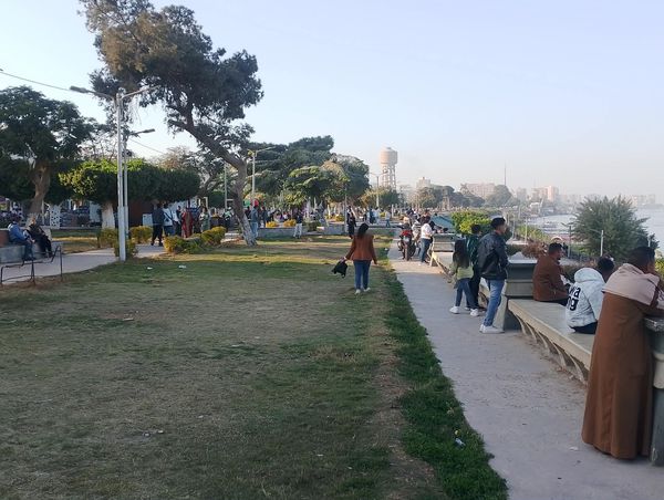 اقباط المنيا