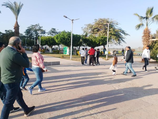 اقباط المنيا