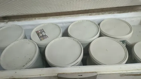 الجبن المضبوط 