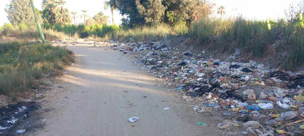 تراكم القمامه 