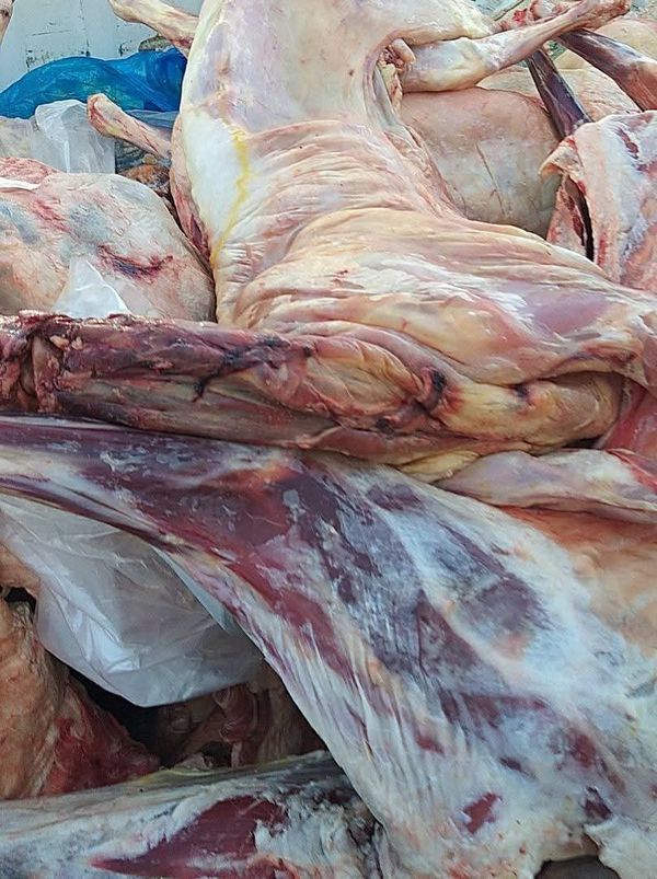 تموين مطروح 