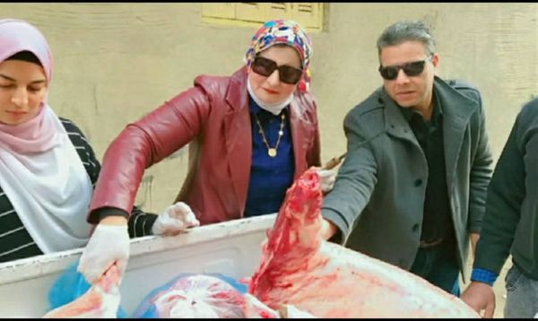 تموين مطروح 