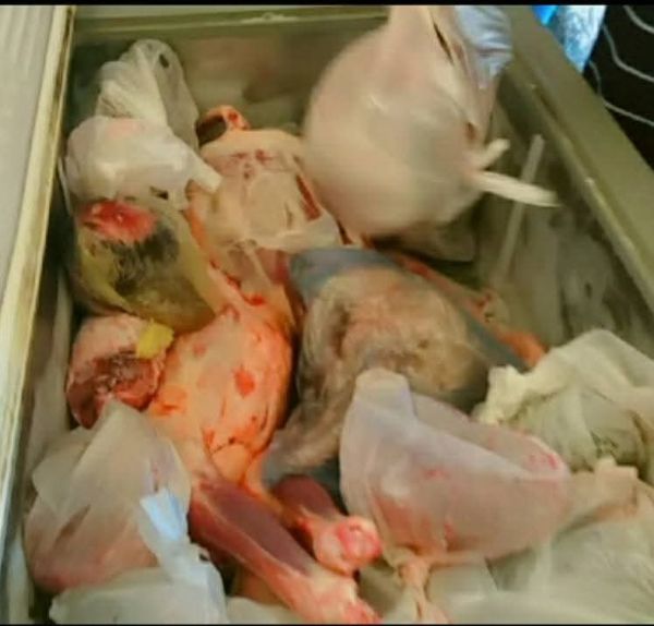 تموين مطروح 