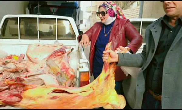 تموين مطروح 