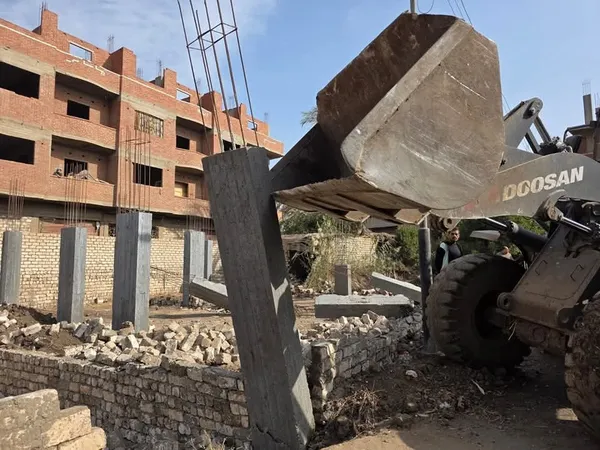 جانب من الحملة