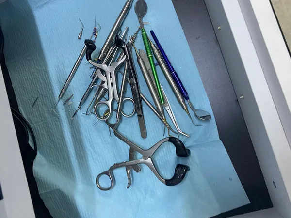 جانب من الحملة 